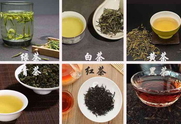 《习茶篇之六大茶类》写给爱茶的,卖茶的,习茶的,喝茶